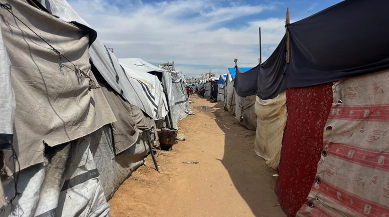 نازحون يعيشون في خيام مهترئة وسط ظروف معيشية صعبة، مع نقص في الاحتياجات الأساسية وشح المساعدات، في مخيم اليرموك بمدينة غزة