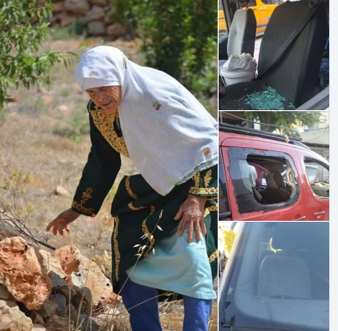 جانب من اعتداء المستعمرين على المزارعين غرب سلفيت