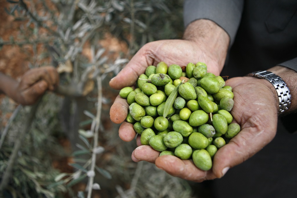 أرشيفية (تصوير: أيمن النوباني/وفا)