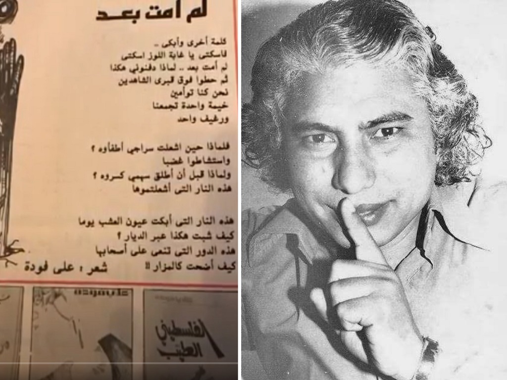 الشهيد علي فودة