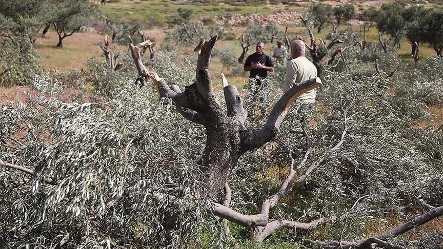 صورة أرشيفية