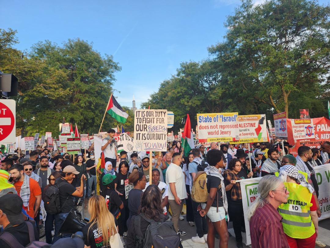 جانب من المظاهرات 