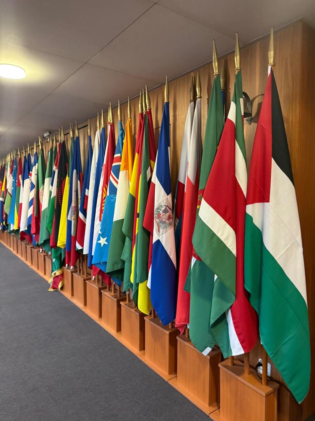 علم فلسطين يرفع لأول مرة بين أعلام الدول الأعضاء في مقر الاتحاد البريدي العالمي في العاصمة السويسرية