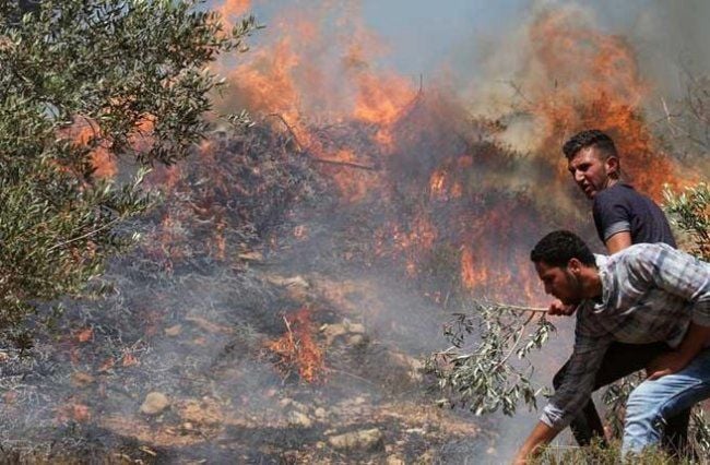 صورة أرشيفية