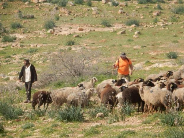 صورة ارشيفية
