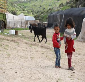 في ظروف صعبة، تعيش عدة عائلات في منطقة صافح تياسير شمال شرق طوباس، بعد رحيلها قسرا عن تجمع البرج في الأغوار الشمالية بسبب تصاعد عنف المستعمرين (تصوير: إسراء غوراني/ وفا)