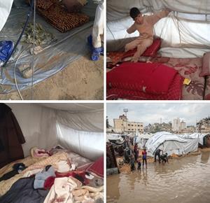 (تصوير: وفا)