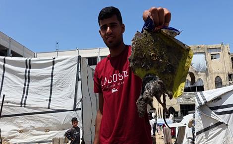 القوارض والحشرات تضاغف معاناة النازحين