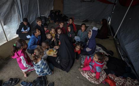 والدة 6 شهداء ترعى 36 حفيدًا بغزة 