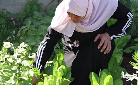 أملٌ مزروع في أرضٍ مؤقتة أملٌ مزروع في أرضٍ مؤقتة