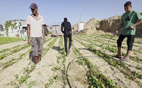 رغم الخطر.. مزارعون يفلحون أراضيهم شرق خان يونس