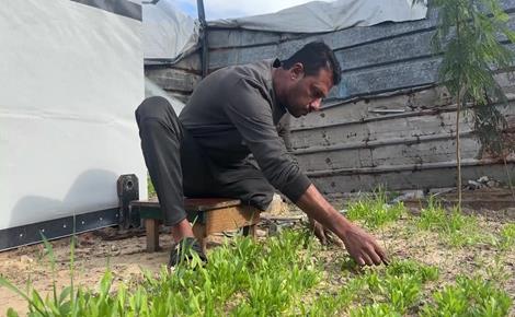 رغم الإعاقة والنزوح.. محمد يتمسك بالأمل في غزة